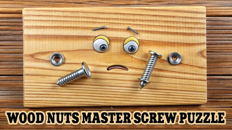 Wood Nuts Master: Puzzle dei Bulloni